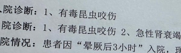 凤凰彩票中国官网入口 女子穿洞洞鞋遭蚂蚁叮咬 呼吸贫乏