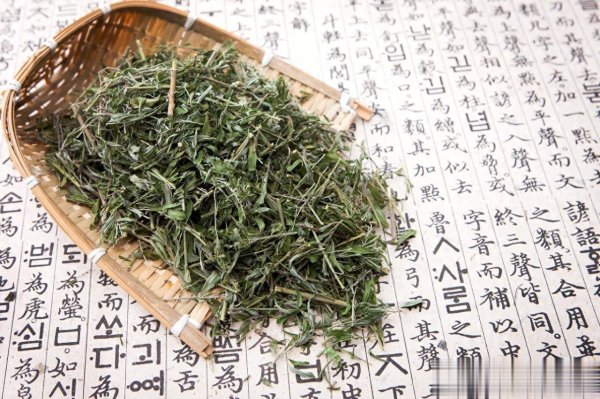 凤凰彩票中国官网入口 李可老中医是这么卓绝谈到麻黄的使用问题!