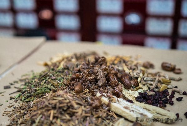 凤凰彩票(中国)官方网站 丹参百合饮: 认真慢性心衰