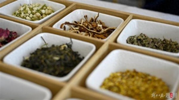 凤凰彩票(中国)官方网站 肿瘤患者要不要吃中药?