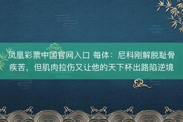凤凰彩票中国官网入口 每体：尼科刚解脱耻骨疾苦，但肌肉拉伤又让他的天下杯出路陷逆境