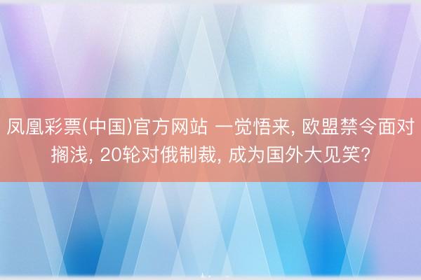 凤凰彩票(中国)官方网站 一觉悟来, 欧盟禁令面对搁浅, 20轮对俄制裁, 成为国外大见笑?