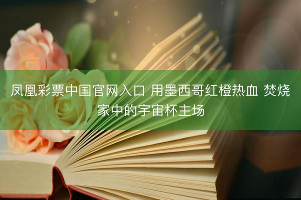 凤凰彩票中国官网入口 用墨西哥红橙热血 焚烧家中的宇宙杯主场