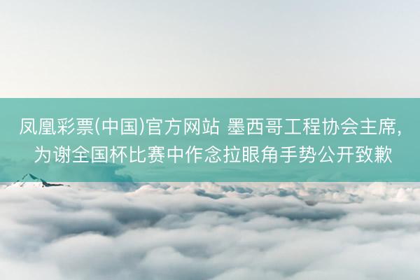 凤凰彩票(中国)官方网站 墨西哥工程协会主席, 为谢全国杯比赛中作念拉眼角手势公开致歉