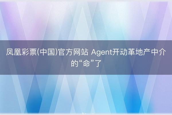 凤凰彩票(中国)官方网站 Agent开动革地产中介的“命”了